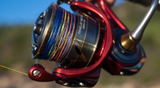 DAIWA REVELRY MQ HD SPIN REELS