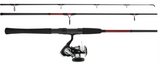 TEAM DAIWA Spin Reel and Rod Combo