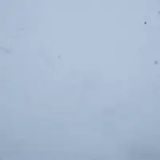 Ugly Fish Floating Polarizied Sunglasses Mat Black Smoke Lens PFR314 MBL.SM