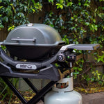 Weber Flame IQ (suits Q1X00N Series)