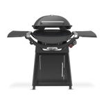 Weber Family Q+ (Q3200N+) Charcoal Grey LPG