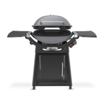 Weber Family Q+ (Q3200N+) Smoke Grey LPG