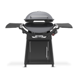 Weber Family Q+ (Q3200N+) Smoke Grey LPG