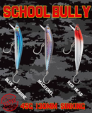 DR. HOOK School Bully 45G