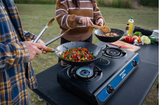 Companion Two Burner Wok Cooker