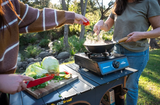 Companion Single Wok Burner