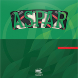 Aspar Professional Dartboard