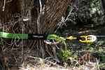 Thorny Devil 12T Tree Trunk Protector Strap